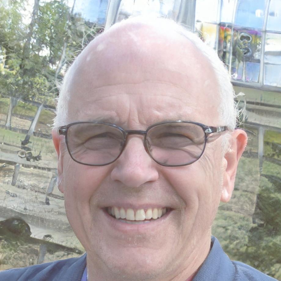 Портрет семейного терапевта